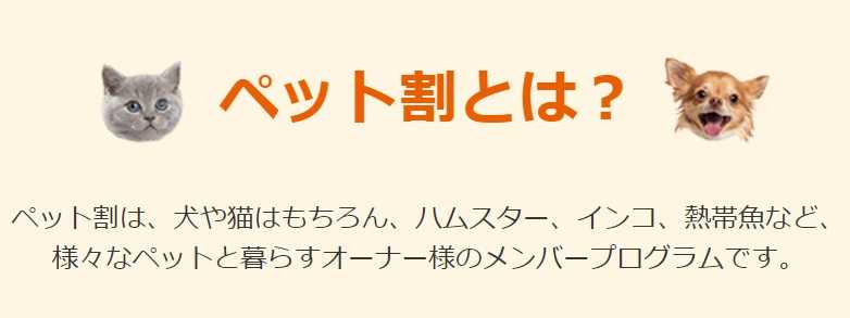 楽天ペット割とは？