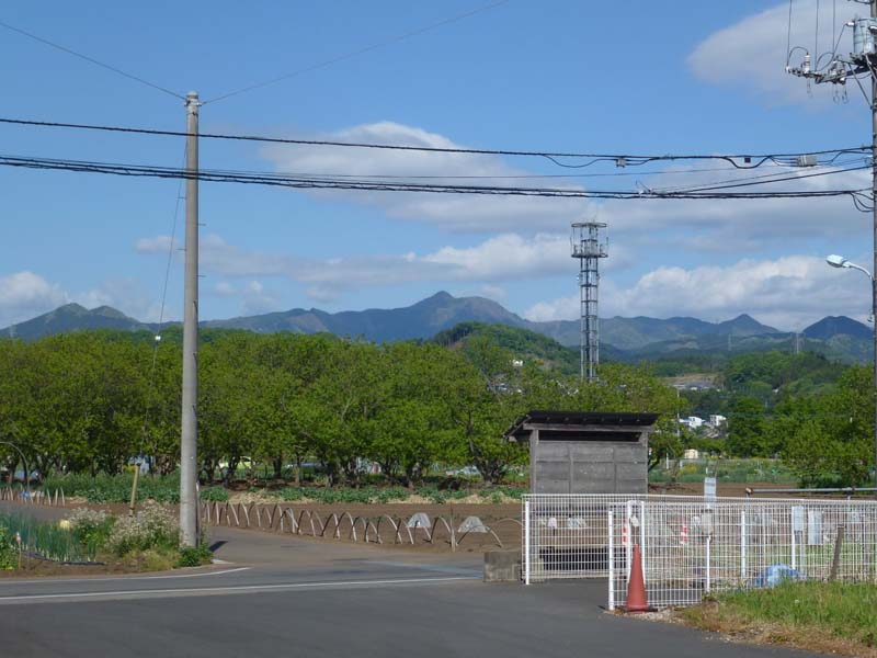 あきる野市三吉野から大岳を望む