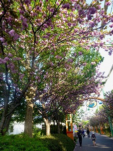 20120428(59).jpg