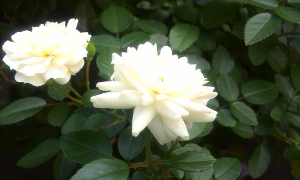 rblog-20131022142331-04.png