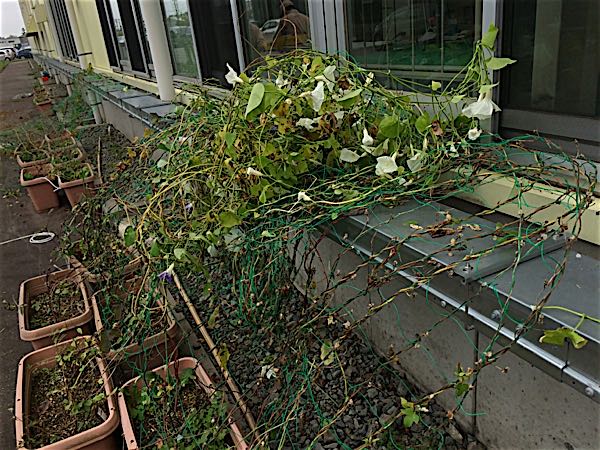 rblog-20141031104631-03.jpg