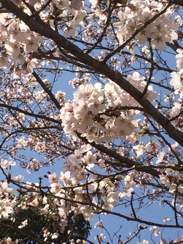 rblog-20150331130038-04.jpg
