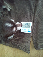 rblog-20131003160945-00.png