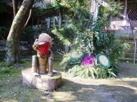 CIMG0109.JPG