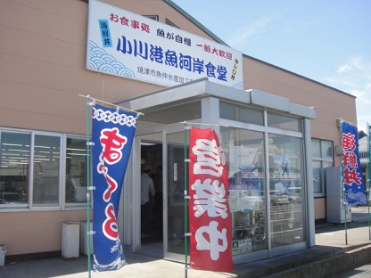 DSC_2466.JPG