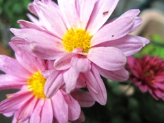 IMG_9632.JPG