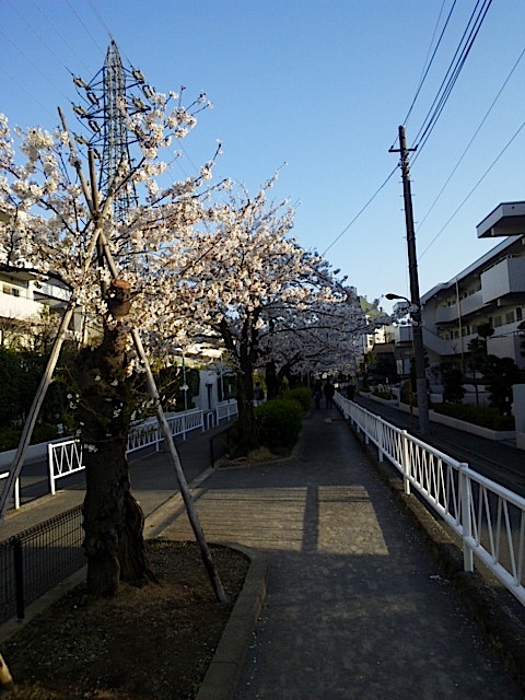 120408_164544.jpg