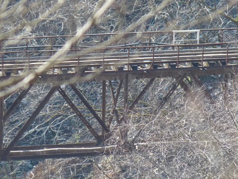 P1030192.JPG