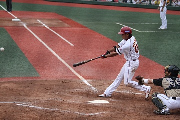 IMG_8837 - コピー.JPG