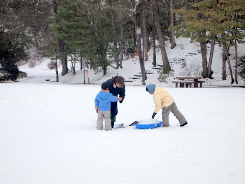 親子の雪集め