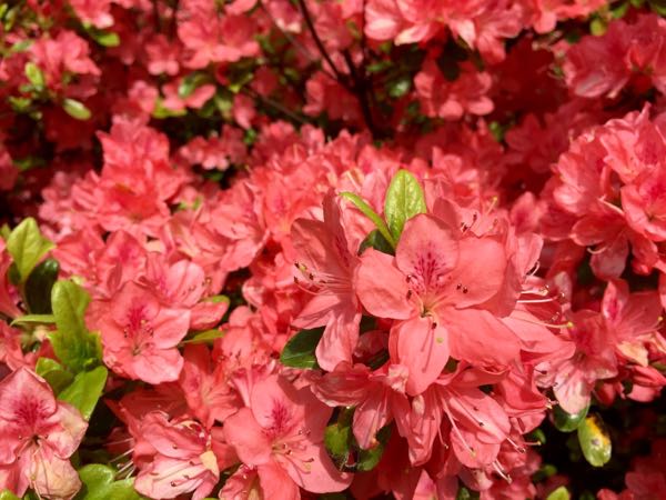 rblog-20160416204812-05.jpg