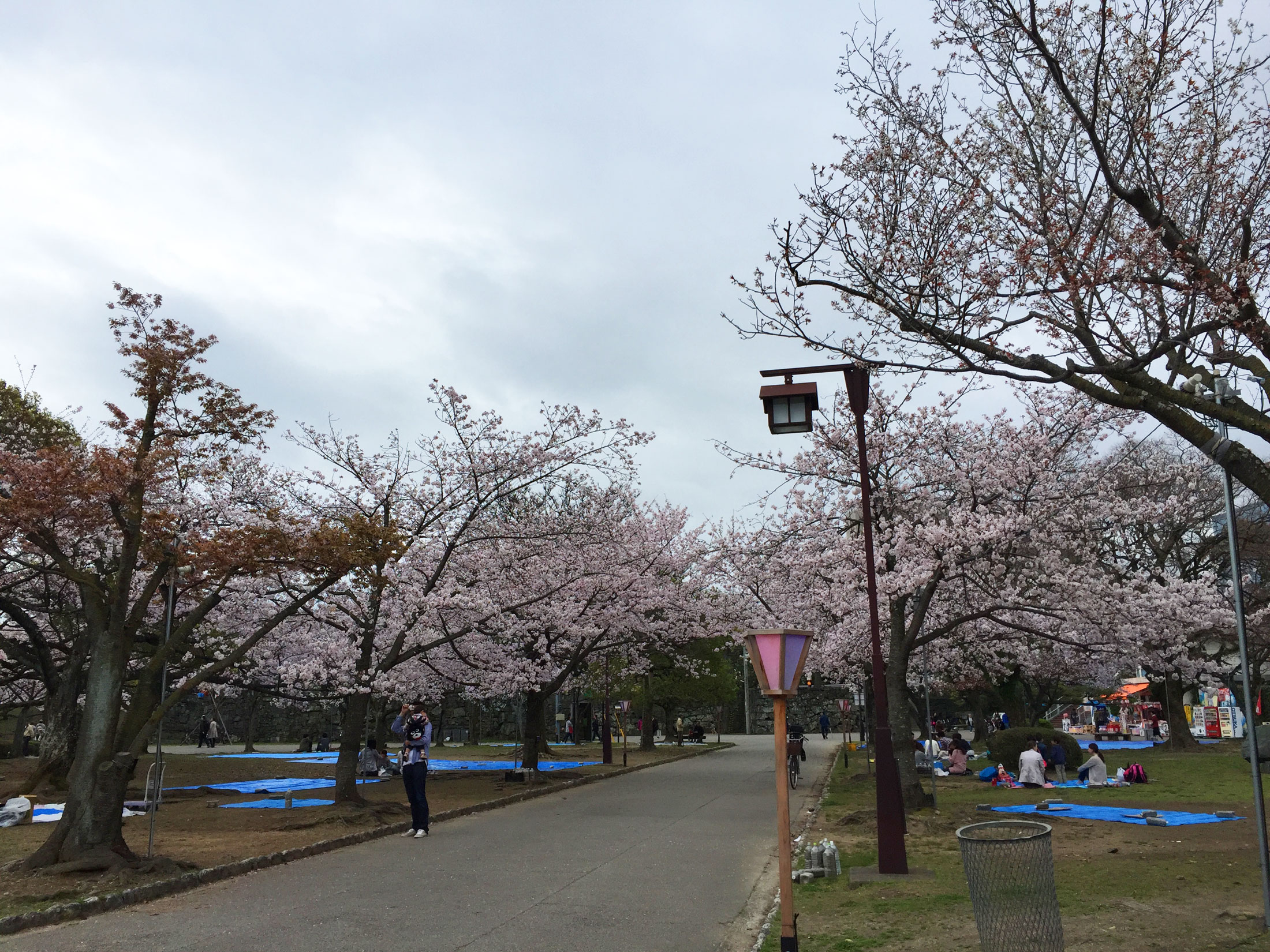 ４・０３　徳島中央公園6.jpg