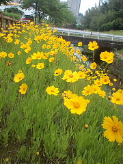 conv0583.JPG