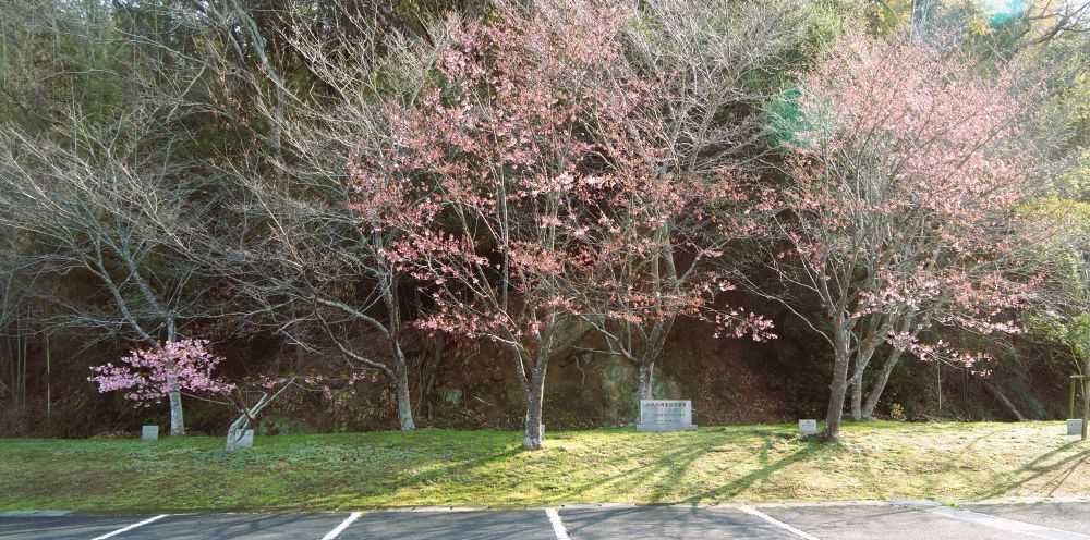 きんちゃん７２７日記