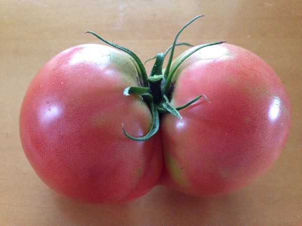 rblog-20160717214645-03.jpg
