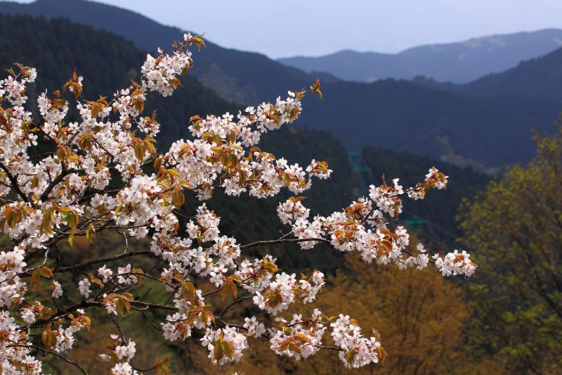 金剛山_004.jpg