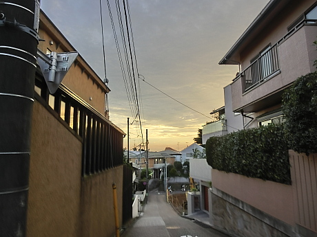 030.JPG