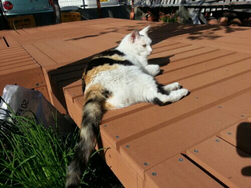 rblog-20160508233426-05.jpg