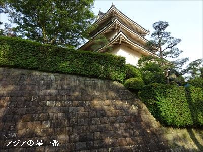 20160523 有明湾干潟3