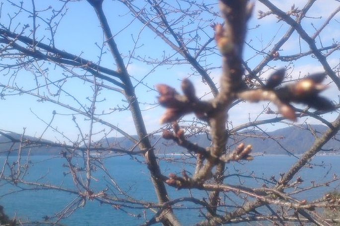 春の準備中