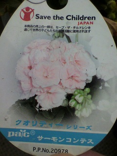2013011712500001.jpg