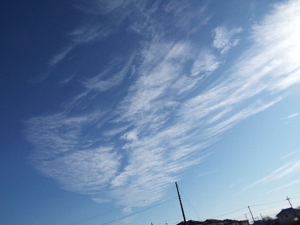 2016-01-03-空0025.JPG