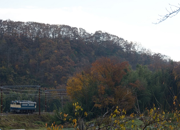 2014.11.30 2号　1.jpg