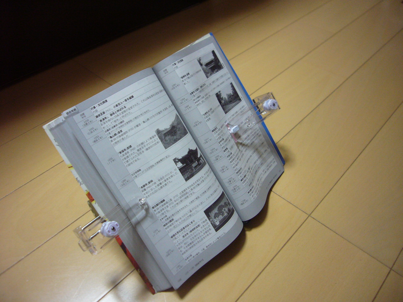 P1130080.JPG
