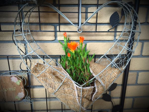 rblog-20160331165438-02.jpg