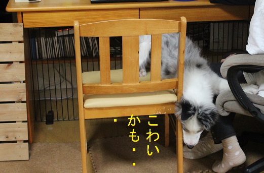 こわいかも