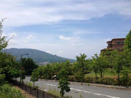 病