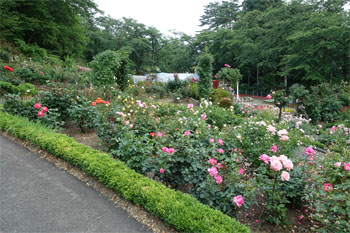 佳松園105.jpg