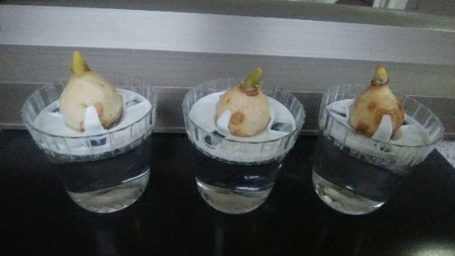 rblog-20180109030614-01.jpg