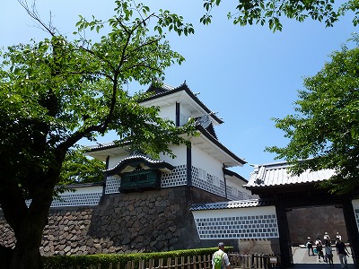 P1000095.jpg