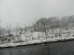 DSCN9964.jpg