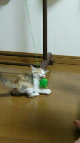 rblog-20170702211934-00.jpg
