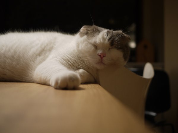P1080046.JPG