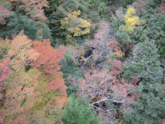 IMG_9859.JPG