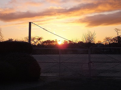 DSCF5219.jpg