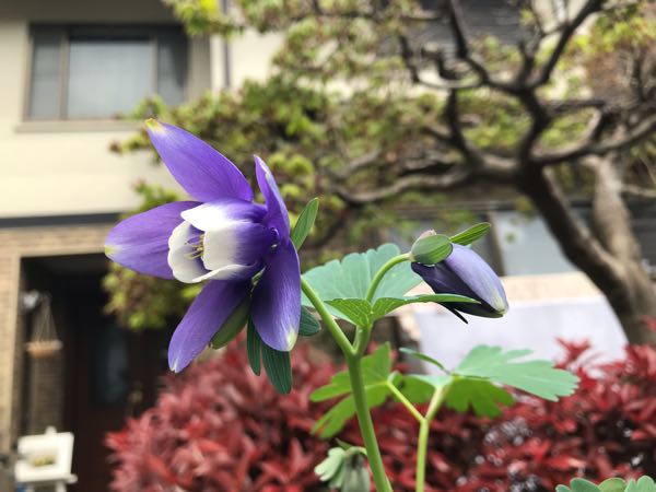 rblog-20190421190411-03.jpg