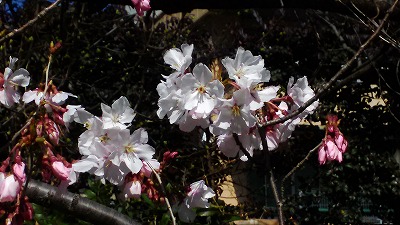20160317-5