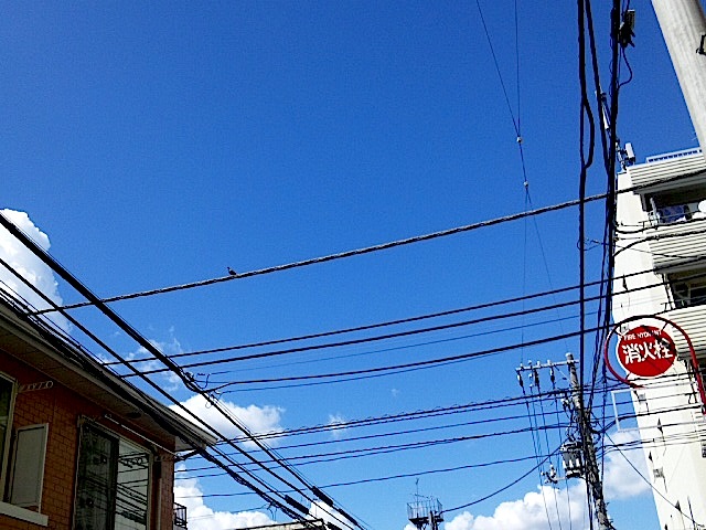 120819_140829.jpg