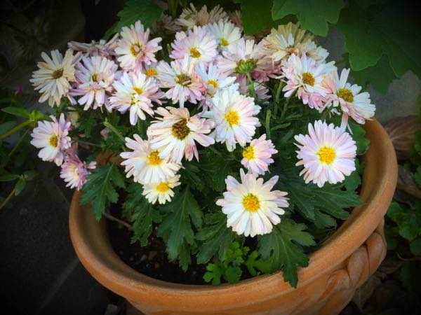 rblog-20151025172038-01.jpg