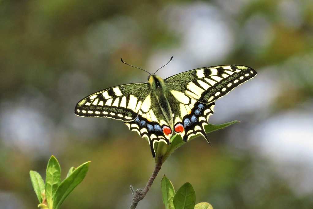 498