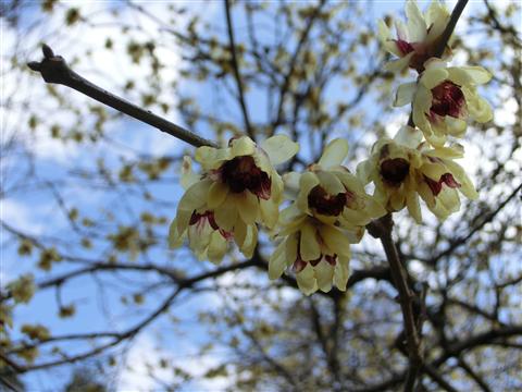 20130205184825.jpg