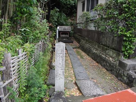 DSC09200.JPG