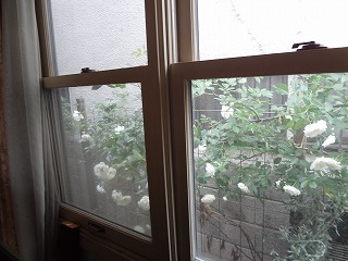 DSC01215.jpg