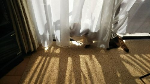 rblog-20180327133705-01.jpg