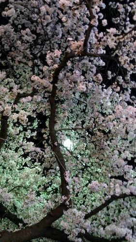 rblog-20180401233835-00.jpg
