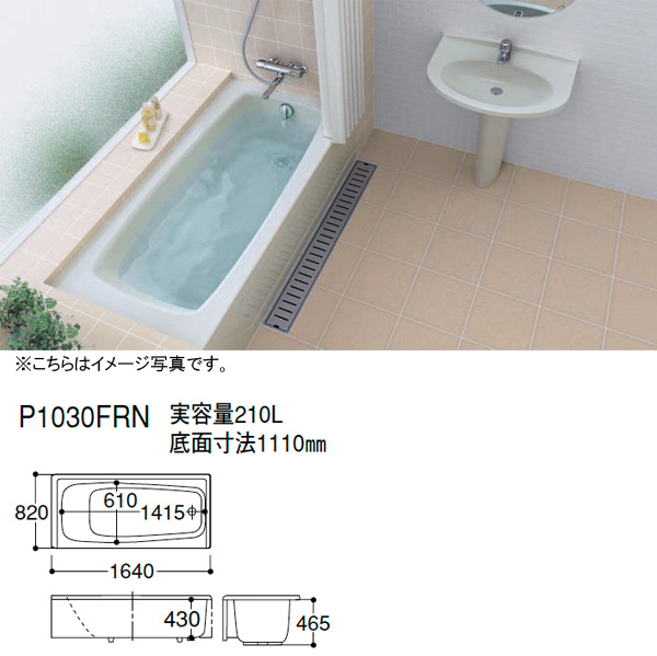 p1030fn.jpg